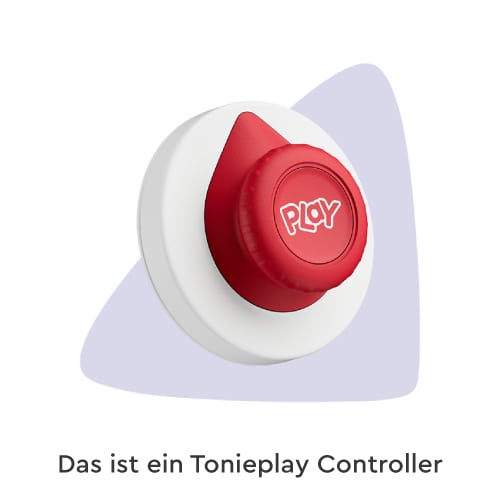 Tonisplay Controller