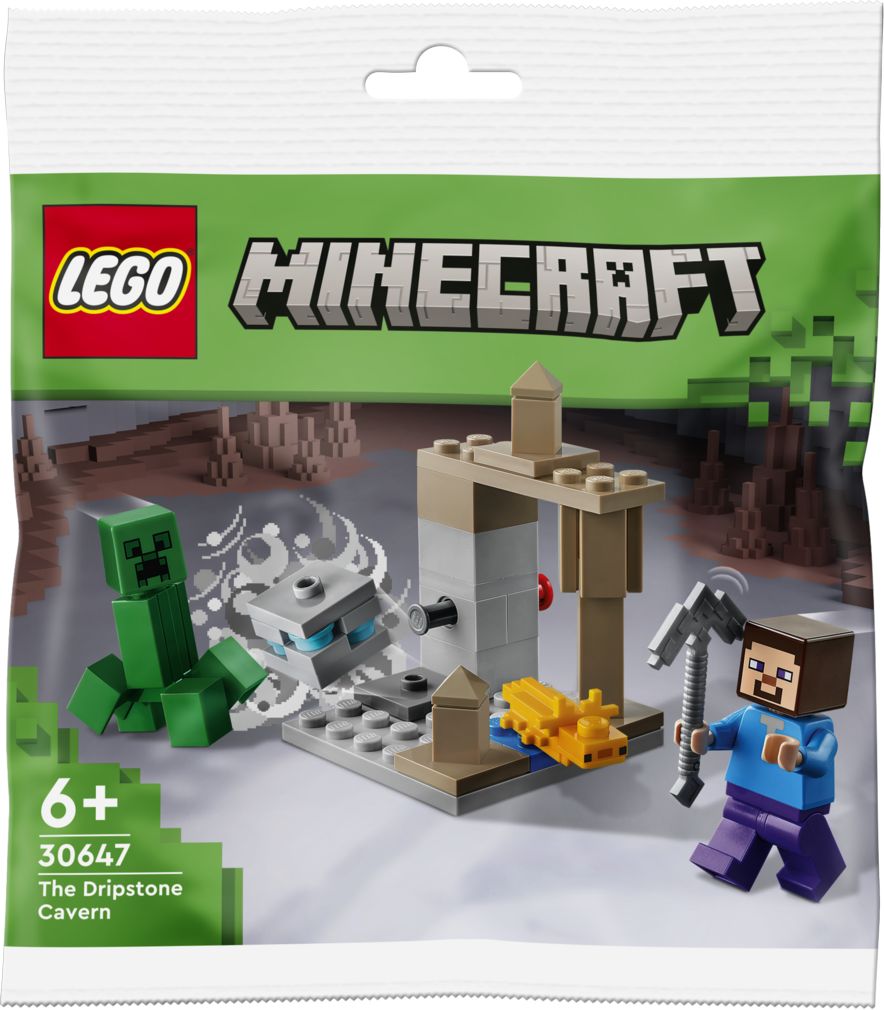 LEGO® Minecraft™ Steve and Baby Panda 30672 – Growing Tree Toys