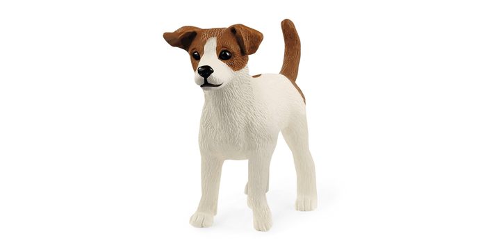 13916 Jack Russell Terrier