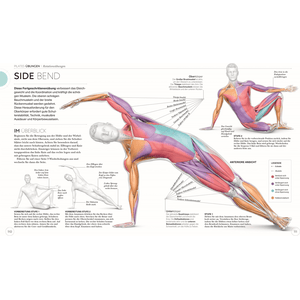 Pilates - Die Anatomie verstehen