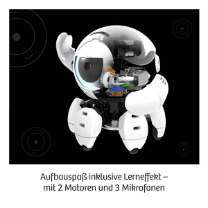 Kosmos Bitsy - Dein cleverer Robo-Freund