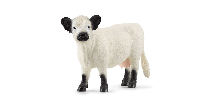 Schleich® 13960 Galloway Kuh