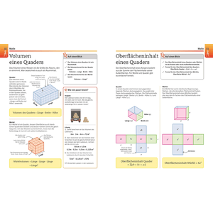 Visuelles Wissen. Mathematik. Biologie, Der anschauliche Einstieg in alle Themenbereiche.
