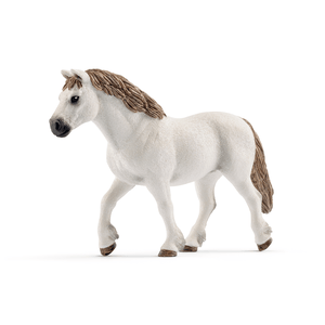 13872 Welsh-Pony Stute