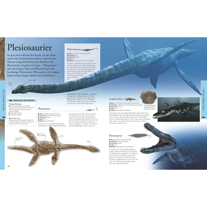 Wissen für clevere Kids. Dinosaurier und andere Tiere der Urzeit für clevere Kids