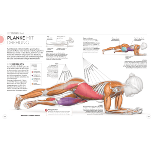 Krafttraining – Die Anatomie verstehen