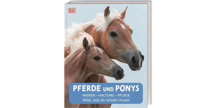 Pferde und Ponys