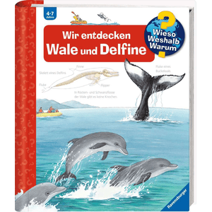 Wieso? Weshalb? Warum? Band 41: Wir entdecken Wale und Delfine