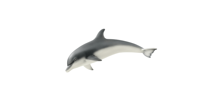 14808 Delfin