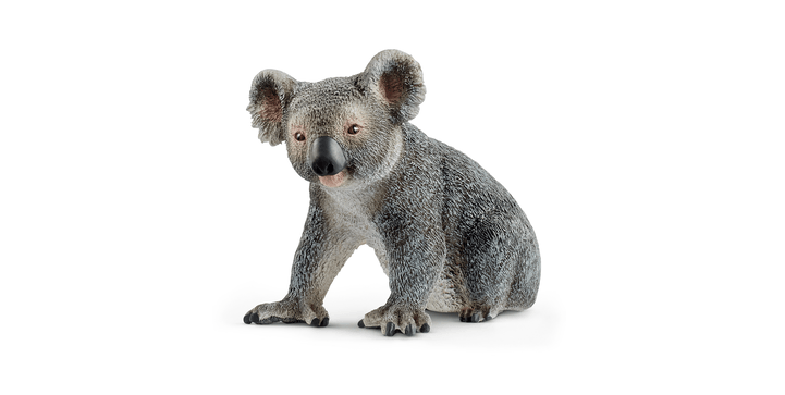 14815 Koalabär