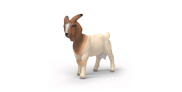 Schleich® 14929 Burenziege