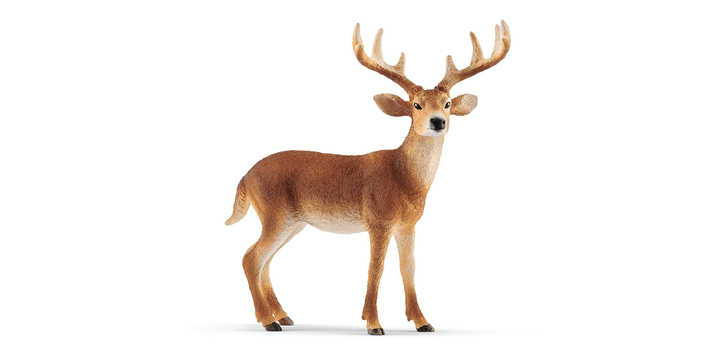 Schleich® 14818 Weißwedelhirsch