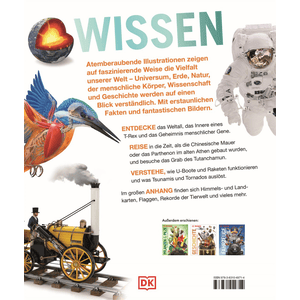 DK Wissen - Das große Lexikon in spektakulären Bildern