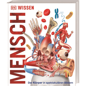 DK Wissen - Mensch