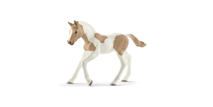 13886 Paint Horse Fohlen