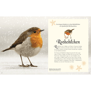 Wundervolle Welt der Vögel