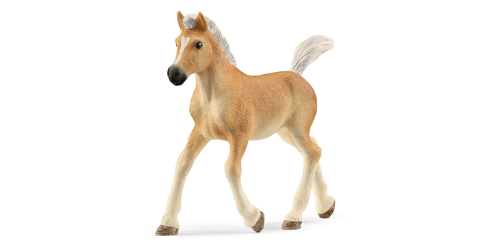 Schleich® 13951 Haflinger Fohlen