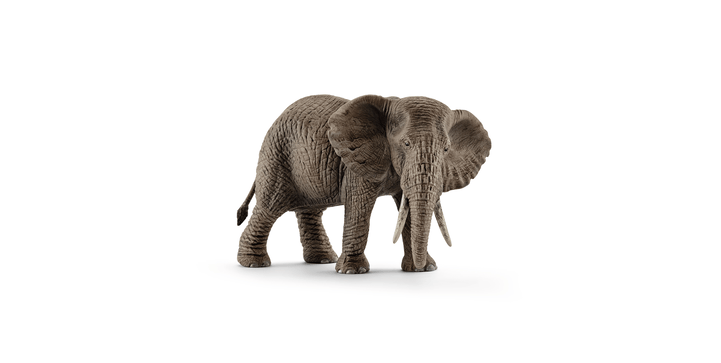 14761 Afrikanische Elefantenkuh