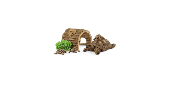 42506 Zuhause für Schildkröten