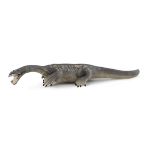 15031 Nothosaurus 2022