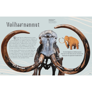 Wundervolle Welt der Dinosaurier und der Urzeit