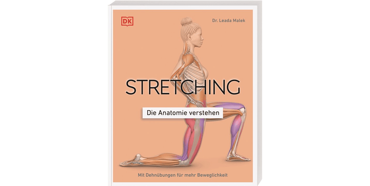 Stretching - Die Anatomie verstehen