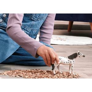 Schleich® 14916 Knabstrupper Wallach