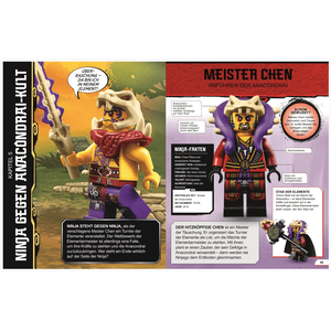 DK Verlag - LEGO® NINJAGO® Lexikon der Minifiguren - Neuausgabe