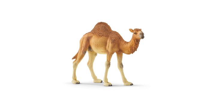 Schleich® 14832 Dromedar