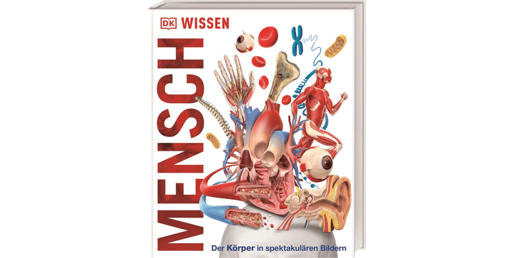 DK Wissen - Mensch