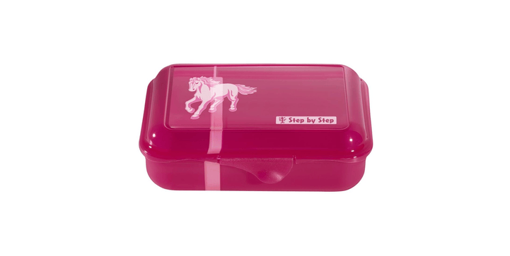 Step by Step Lunchbox 