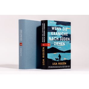 Wenn die Kraniche nach Süden ziehen