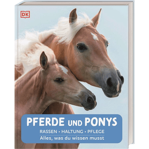 Pferde und Ponys