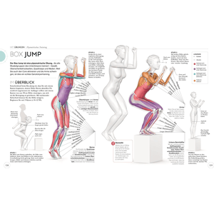 HIIT - Die Anatomie verstehen