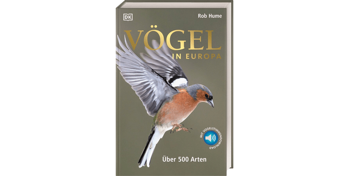 Vögel