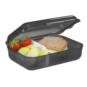 Step by Step Lunchbox „Wild T-Rex Taro“