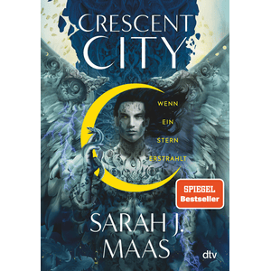 Crescent City – Wenn ein Stern erstrahlt