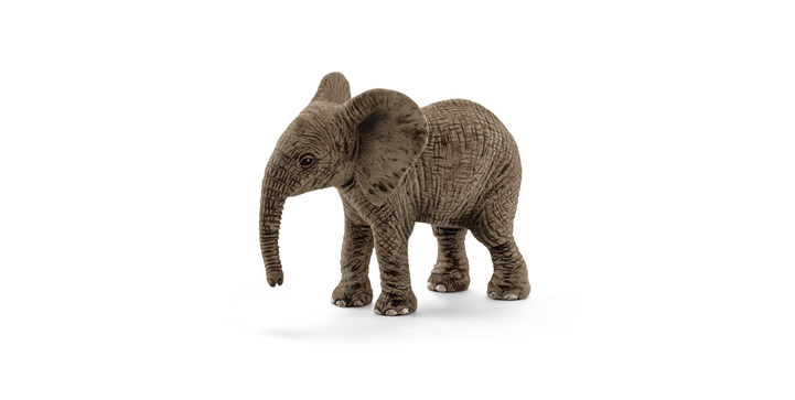 14763 Afrikanisches Elefantenbaby