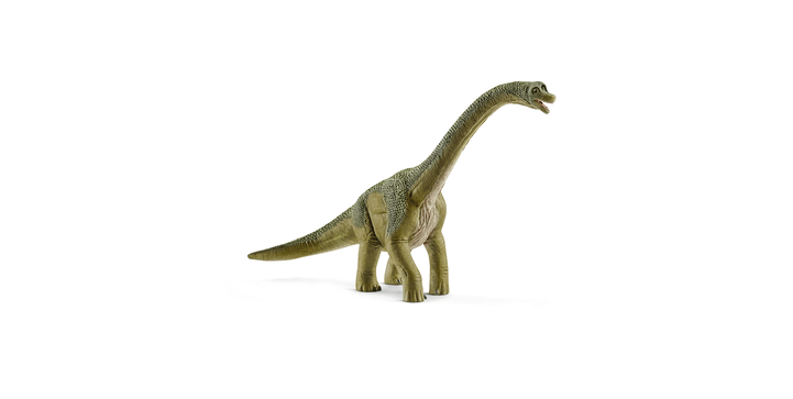 14581 Brachiosaurus