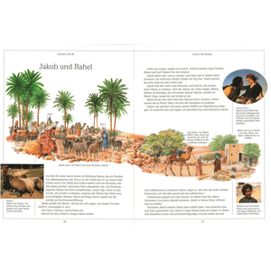 Illustrierte Bibel für Kinder