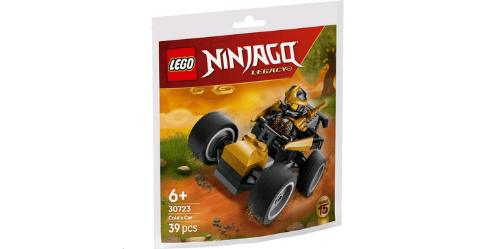 LEGO® NINJAGO® 30723 Ninja Coles Flitzer