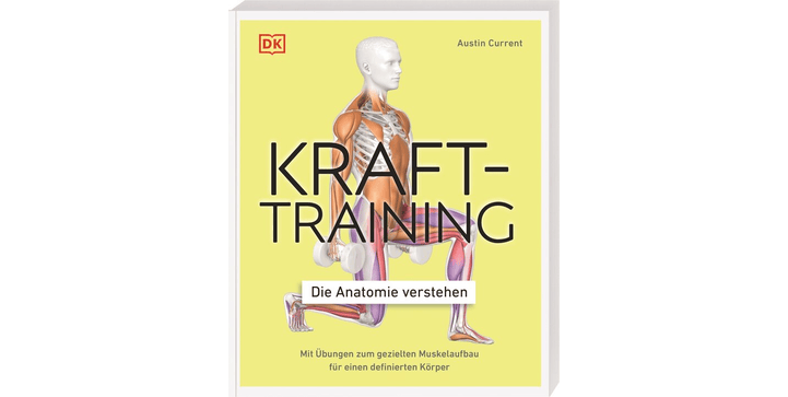 Krafttraining – Die Anatomie verstehen