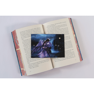 Der Junge aus dem Reich der Schatten Bd.02