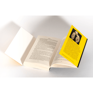 Die Psyche des Bösen