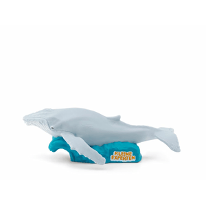 tonies® - KLE!NE EXPERTEN tauchen mit Walen