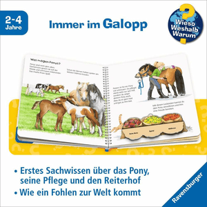 Wieso? Weshalb? Warum? junior Band 20: das Pony