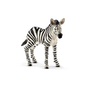 14811 Zebra Fohlen