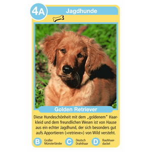 Ravensburger - Tierquartett: Hunde - 20420