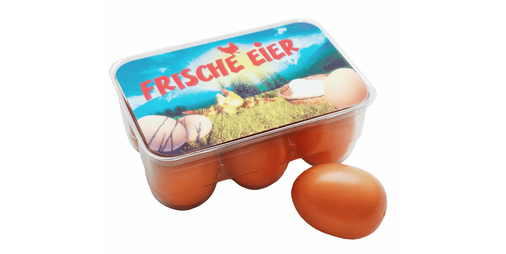 Tanner 6 Eier in Box