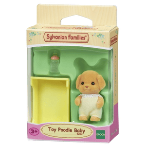 Toy-Pudel: Baby Tommy